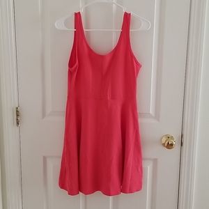 Pink Express Skater Dress